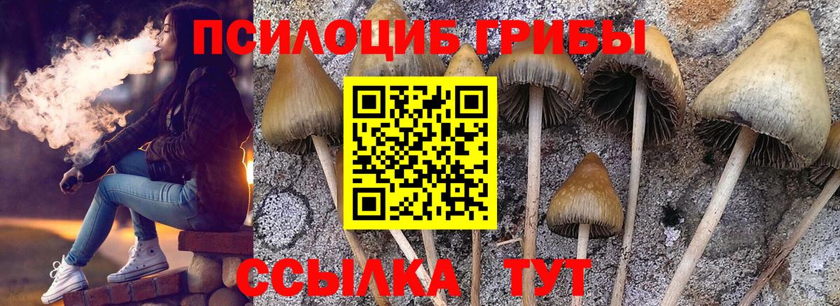 Псилоцибиновые грибы Magic Shrooms  Вход с VPN  Хасавюрт  Псилоцибиновые грибы мицелий 