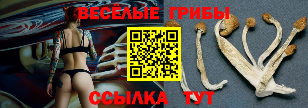 Галлюциногенные грибы мицелий Хасавюрт
